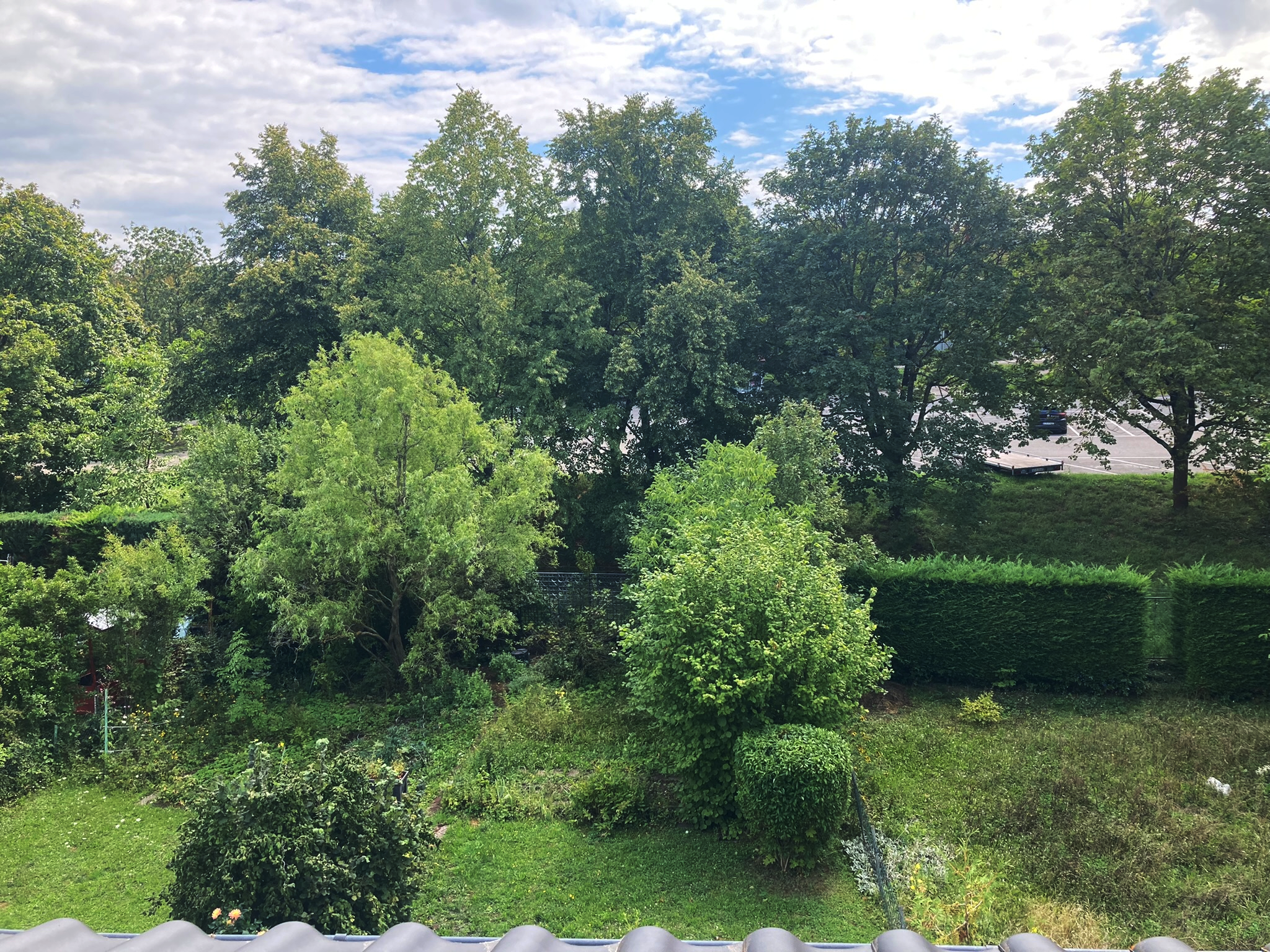 Ausblick Garten